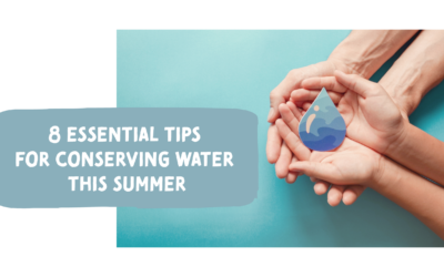 8 Essential Tips for Conserving Water This Summer 